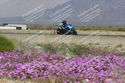 media/Feb-04-2023-SoCal Trackdays (Sat) [[8a776bf2c3]]/Turn 15 Inside Blooming (1050am)/